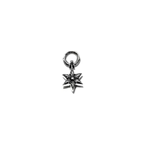 Chrome Hearts Star Pendant Necklace (Small)